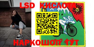 прущие грибы Рязань