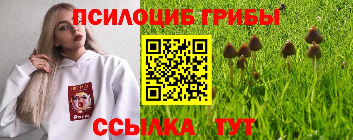 Наро-Фоминск  Псилоцибиновые грибы Psilocybe  Псилоцибиновые грибы Cubensis  Вход с VPN 